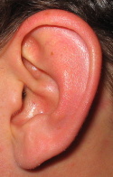 listening ear